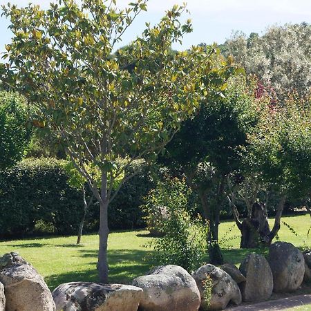 Les Jardins De Santa Giulia - Charmante Chambre D'Hote 2 Порто-Веккіо Екстер'єр фото