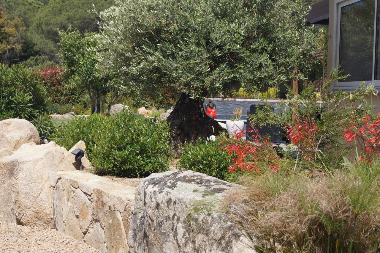 Les Jardins De Santa Giulia - Charmante Chambre D'Hote 2 Порто-Веккіо Екстер'єр фото